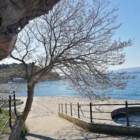 別荘 Mobile Homes - Lighthouse セルツェ